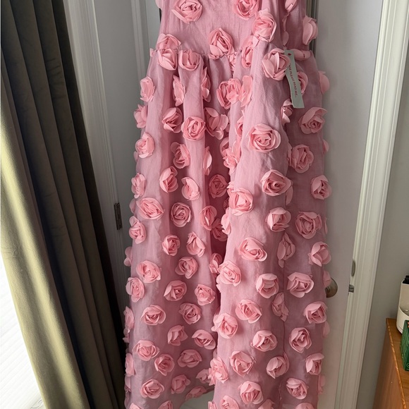 ASOS sister Jane Pink organza rose Maxi Dress with 3D Floral Appliqué - Picture 6 of 6